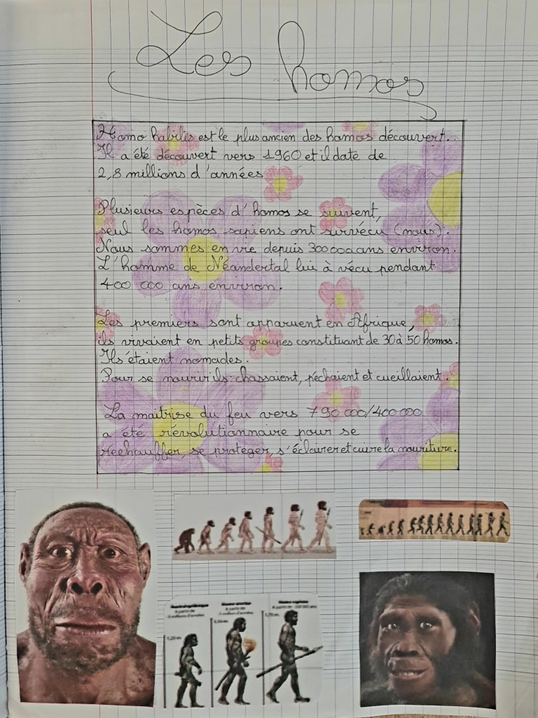 Production sur les premiers Homo