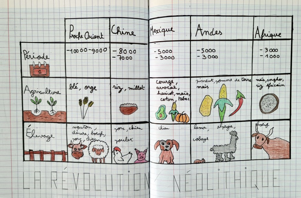 Production sur la Révolution néolithique