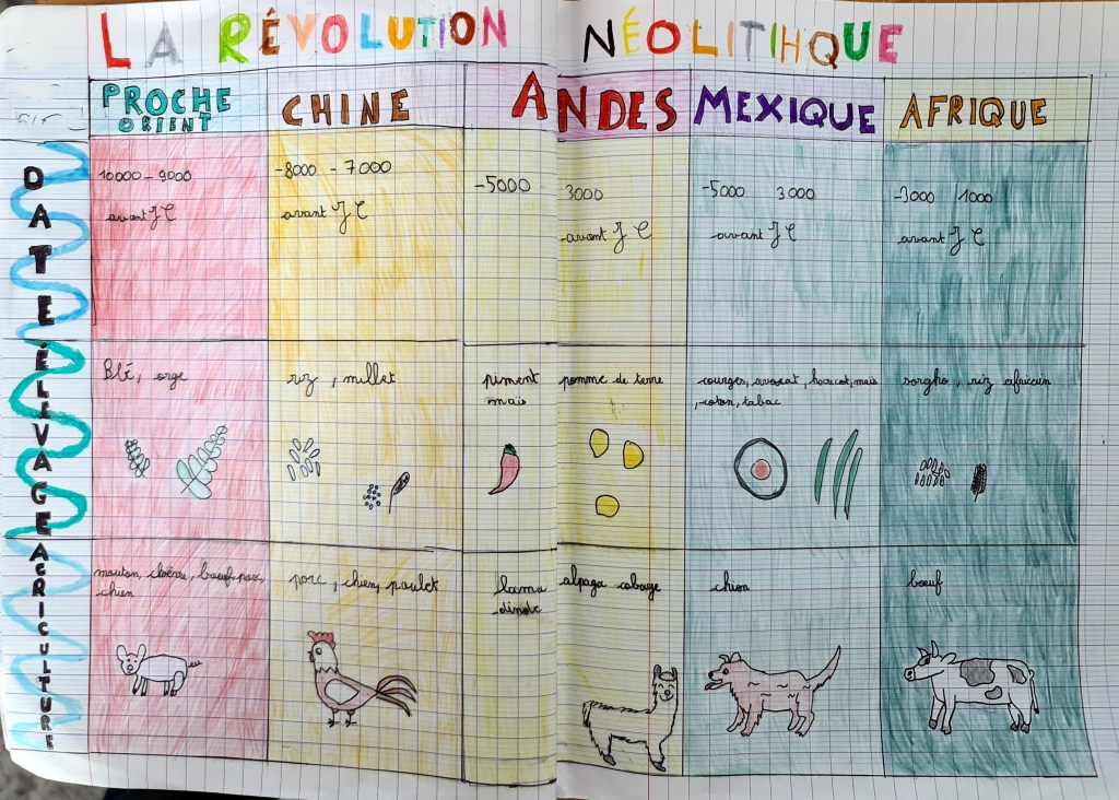 Production sur la Révolution néolithique